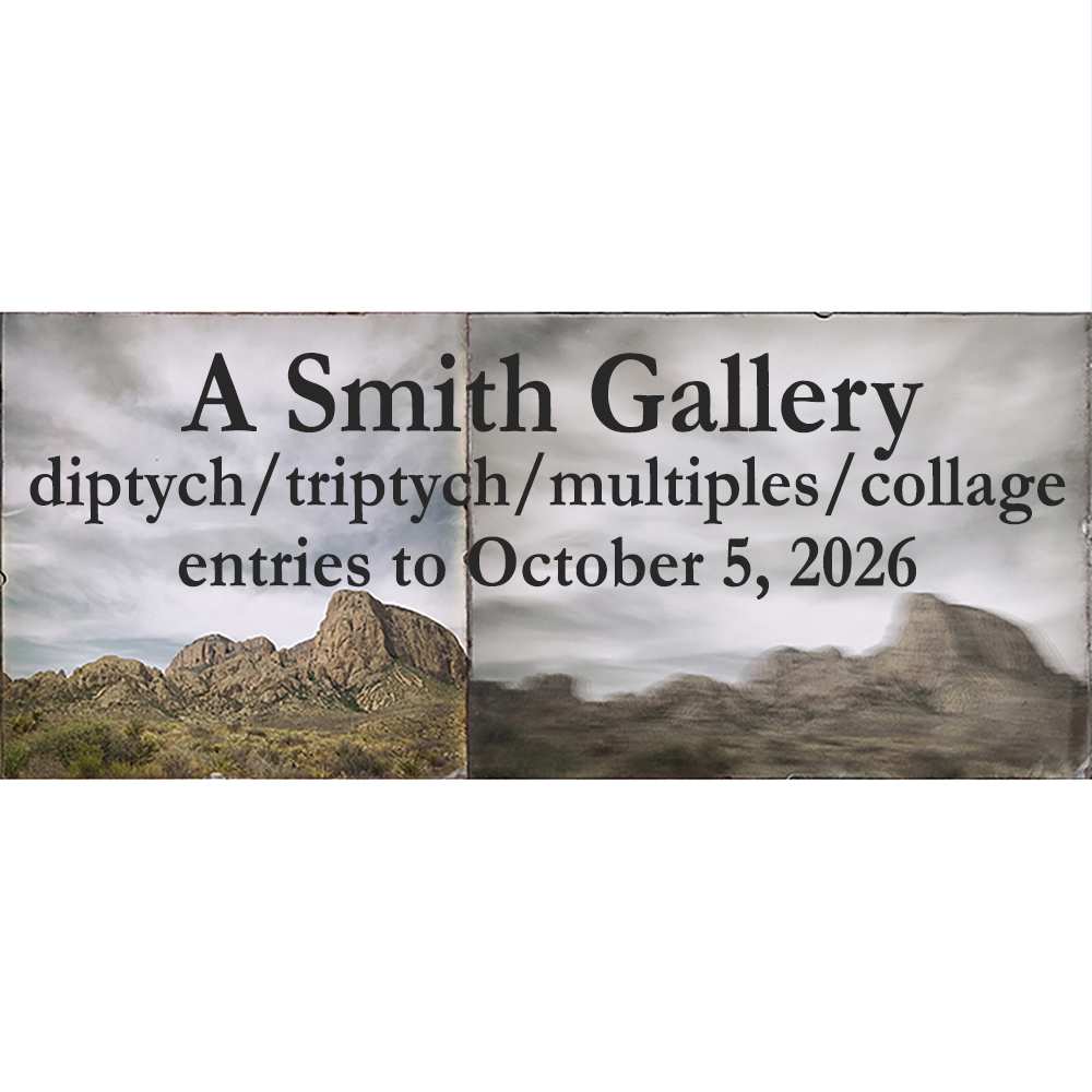 photographic call for entry | "diptych/triptych/multiples/collage"