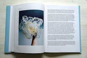 Series 92  - Experimental Visual Art for Hardcover Book Editions  & Online (Art Reviews)